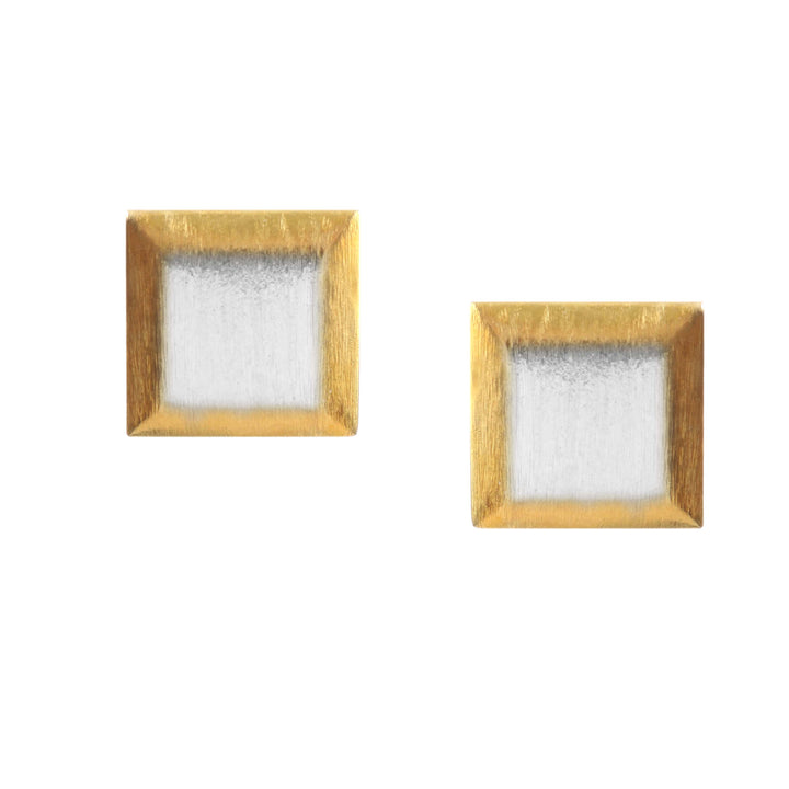 Silver Adorable Dual Tone Stud Earrings